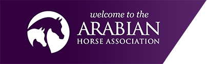 aha-logo